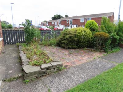 Picture 18